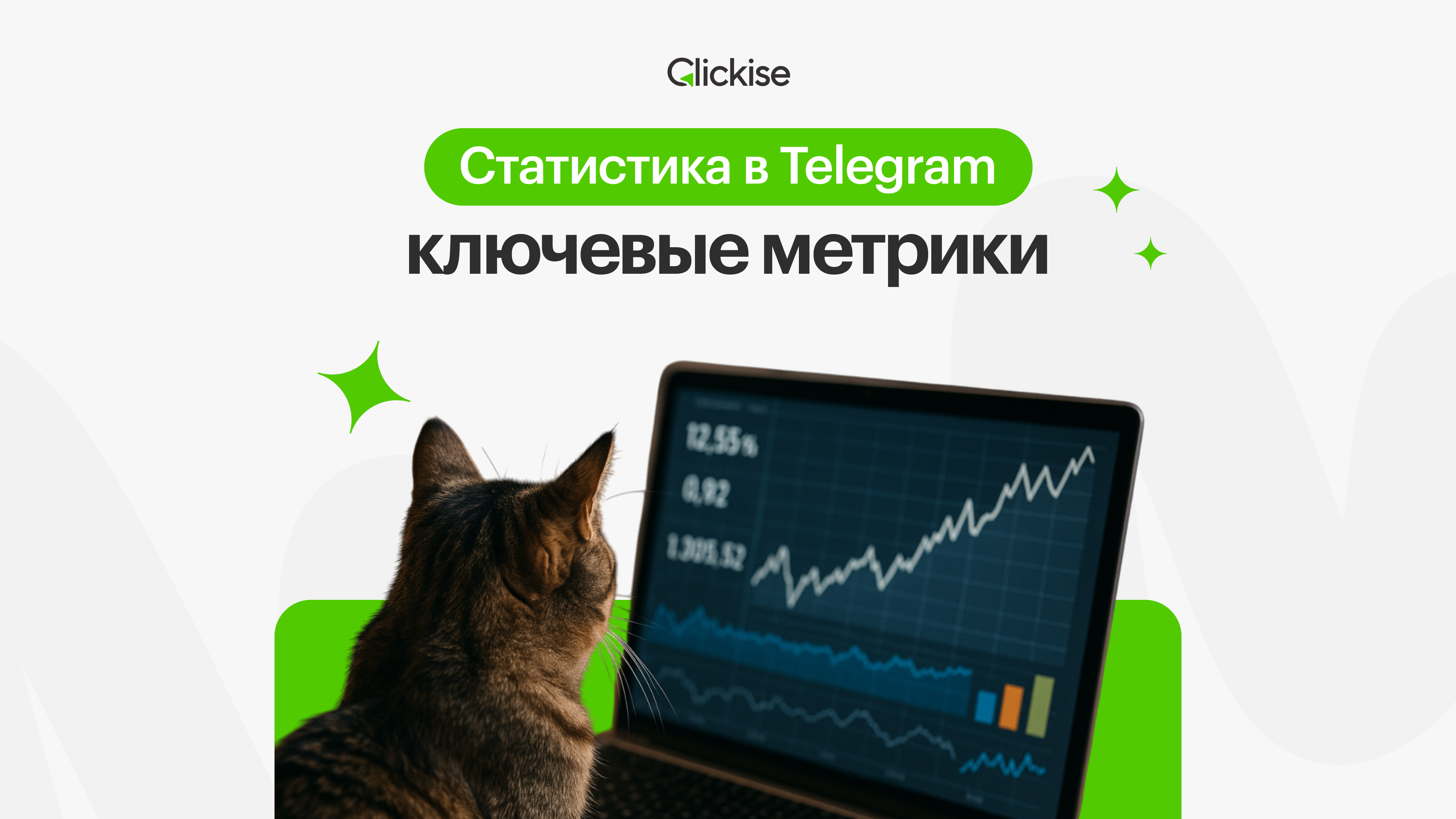 Подробная статистика и аналитика Telegram каналов для успешного продвижения