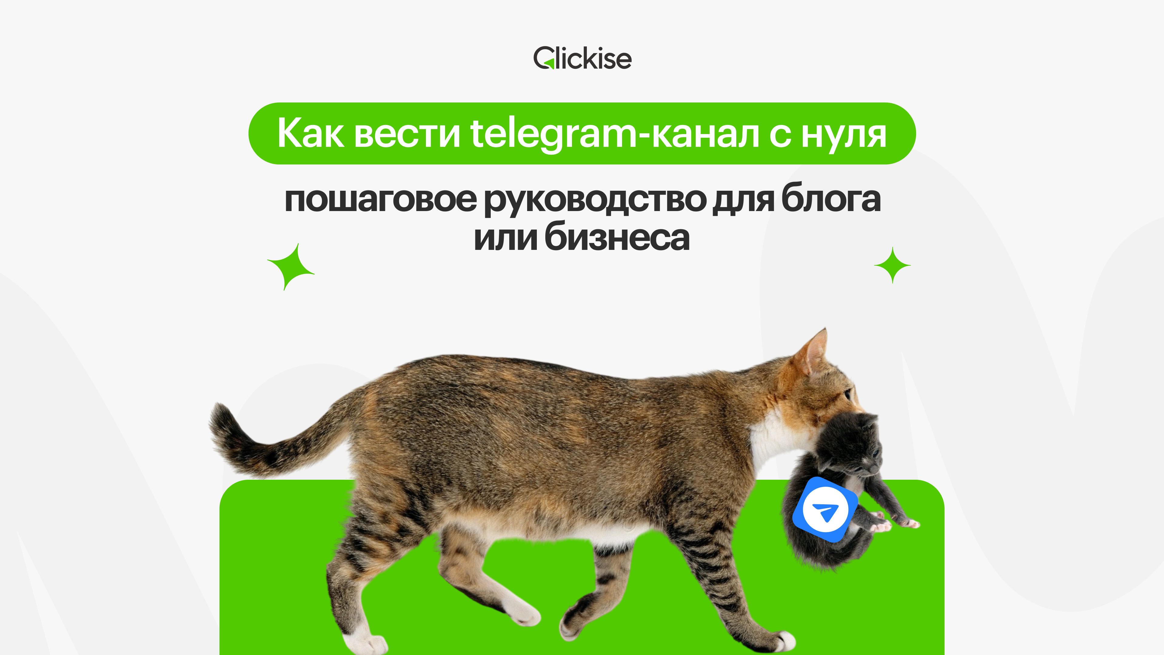 Как вести телеграм канал с нуля: пошаговое руководство для блога или бизнеса